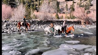 Anson Wilderness Elk Hunt 2024 [upl. by Victoir]