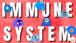 Immune System Innate and Adaptive Immunity Explained [upl. by Aivatnuahs]