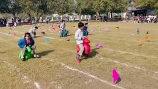 DONKEY RACE at ANNUAL sports week 27112024 at HAPPYDAY school system Peshawar [upl. by Eydie829]