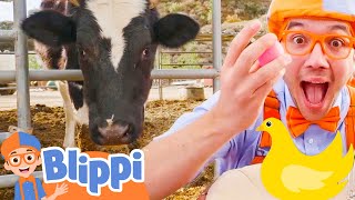 Blippis Egg Hunt at Old MacDonalds Farm Nursery Rhymes for Kids [upl. by Lavine50]