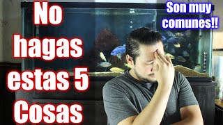 5 Cosas Que Haces Que Matan A Tus Peces [upl. by Tychon]