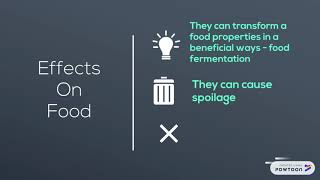 WHAT ARE BASIC FOOD MICROBIOLOGY [upl. by Otinauj446]