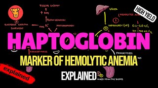 HAPTOGLOBIN Marker of Hemolytic anemia [upl. by Sergio]