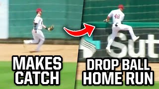 Outfielder drops ball over fence for home run a breakdown [upl. by Yrehc]