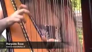 Harpiste Rose  klassieke harp achtergrondmuziek  harp muziek [upl. by Keely10]