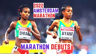 2022 Amsterdam Marathon Mens And Womens Races Preview [upl. by Sluiter]