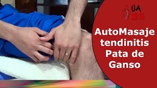 Auto masaje para tendinitis de pata de ganso  Fisioterapia [upl. by Margaretta]