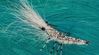 Hedron Flytying Wing n flash shrimp [upl. by Schurman]