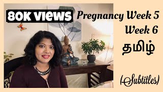 Pregnancy Week 5 Tamil  Week 6 Pregnancy Symptoms In Tamil  Early symptoms of pregnancy Tamil [upl. by Malin846]