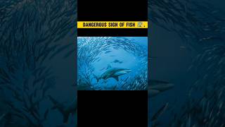 Fish Sign a dangerous 😱 voice credit  TheFact [upl. by Volpe765]