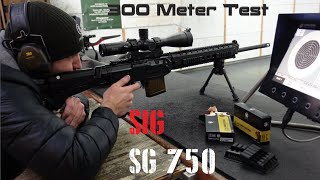 SIG SG 750 65 Creedmoor  Schusstest 300 Meter [upl. by Allista]