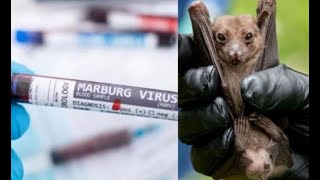 Rwanda Faces Urgent Marburg Virus Outbreak What You Need to Know [upl. by Nnylireg]