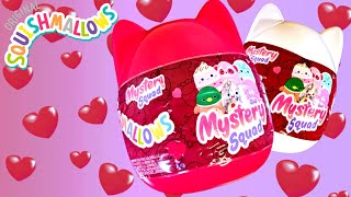 Squishmallows Mystery Squad  Valentines 2024  Adult Collector Review [upl. by Annayram301]