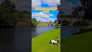 Riverside walk Edisford Bridge Picnic Area shorts [upl. by Liatrice]