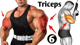 Top 6 Triceps Exercises For Thicker Arms  Triceps Workout [upl. by Aracahs366]