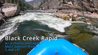 Black Creek Rapid  Main Salmon River 2440 cfs [upl. by Logan368]