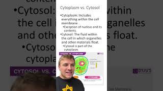 Cytoplasm Vs Cytosol [upl. by Roddy213]