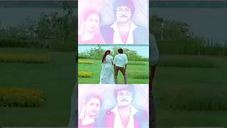 Telugu super hit melody chiranjeevi suhashini youtubeshorts telugushorts viralshorts music [upl. by Kecaj807]