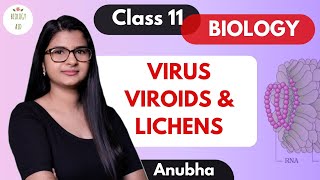 Class 11  Virus Viroids amp Lichens  NCERT [upl. by Nileuqaj362]