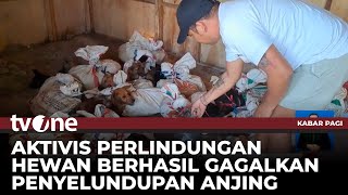 Penyelundupan Puluhan Anjing Berhasil Digagalkan  Kabar Pagi tvOne [upl. by Pallas]