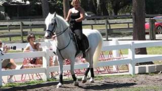 Lipizzan Training Session May 9 2009 [upl. by Casimire221]