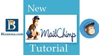 Creating Mailchimp Tags  Create Tags in Mailchimp [upl. by Helmut]