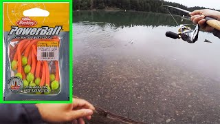 Bank Fishing For Stocked Trout With Powerbait [upl. by Ylac]