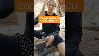 VAMOS QUEBRA COCO BABACU COCO MATOAZEITE MUITOBOM [upl. by Fen]