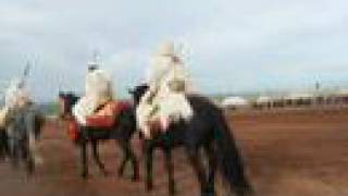 mawssim takhssayt chevaux marocaine [upl. by Victory7]