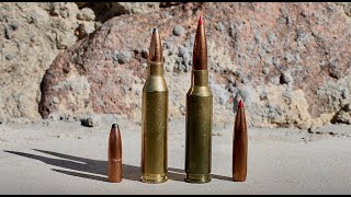 243 vs 65 Creedmoor Which Is Best For You [upl. by Enihpled]