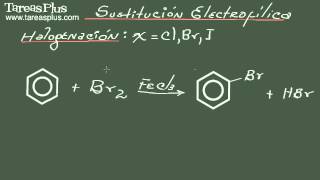 Sustitución electrofílica [upl. by Ayirp]