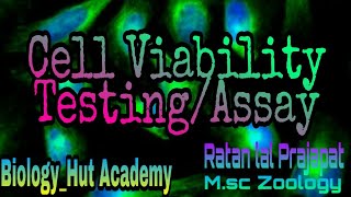 Cell Viability TestingAssay by Ratan lal Prajapat Cell cytotoxicity MTT Assay Cell Viability [upl. by Eednarb]