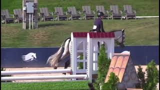 Capitolino DVE for lease after Maclay finals [upl. by Oicram]