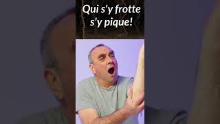 POURQUOI DITON  quotQUI SY FROTTE SY PIQUE quot shorts [upl. by Acnoib461]