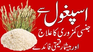 Isabghol ke Fawaid  Ispaghol Ke Fayde  Health Benefits of Psyllium Husk in Urdu  Psyllium Benefit [upl. by Nallac388]