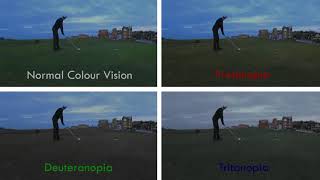 Protanopia vs Deuteranopia vs Tritanopia On St Andrews Golf Links [upl. by Everson]