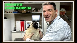 COMO DEVE SER UMA CONSULTA COMPLETA [upl. by Anon]