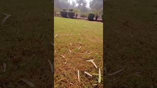 Irshad Nohi park D G Khan [upl. by Aeuhsoj]