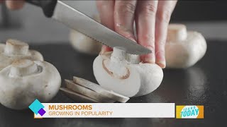 Mushrooms Chocolate Flavonoids and more Food and Diet Trends for 2024 [upl. by Pandich]