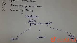 Bases of leaves and internodes have  CLASS 9  TISSUES  BIOLOGY  Doubtnut [upl. by Theresa154]