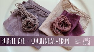 HOW TO MAKE PURPLE DYE WITH COCHINEAL  ORGANIC COLOR  WOOL SILK COTTON  RAINBOW PALETTE  IRON [upl. by Cence501]