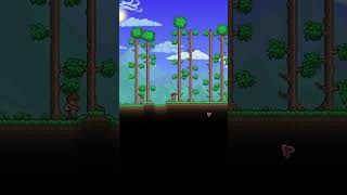 Terraria COOL but DUMB Mods [upl. by Aikym]