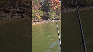 Fall Fishing Lake Lanier Largemouth [upl. by Anyah]