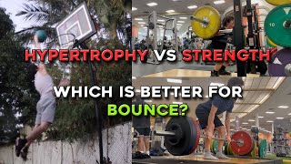 Hypertrophy VS Strength Training For Your Vertical Jump [upl. by Yecnay897]