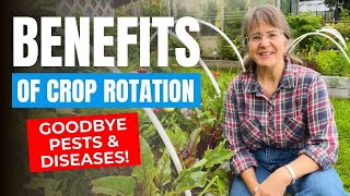 Crop Rotation Made Simple  Easy Tutorial for Beginners [upl. by Brookner]