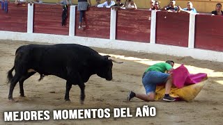 Toros Bravos Solo Mejores Momentos 3 [upl. by Varden861]