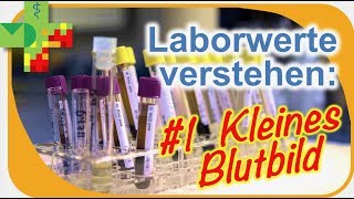 Laborwerte verstehen 1 Kleines Blutbild [upl. by Brick]