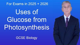 GCSE Biology Revision quotUses of Glucose from Photosynthesisquot [upl. by Nyllij82]