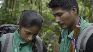 2024 CLP Future Conservationist Award Lowland tapirs in Colombia [upl. by Walli]