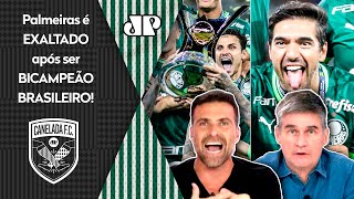 quotO PALMEIRAS É FO Foi CAMPEÃO DE NOVO e é ESPETACULAR comoquot BI BRASILEIRO é EXALTADO [upl. by Ettennil]